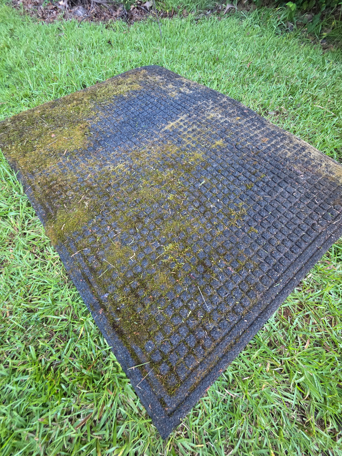 Moss-Covered Entry Mat (Before) before and after pressure washing